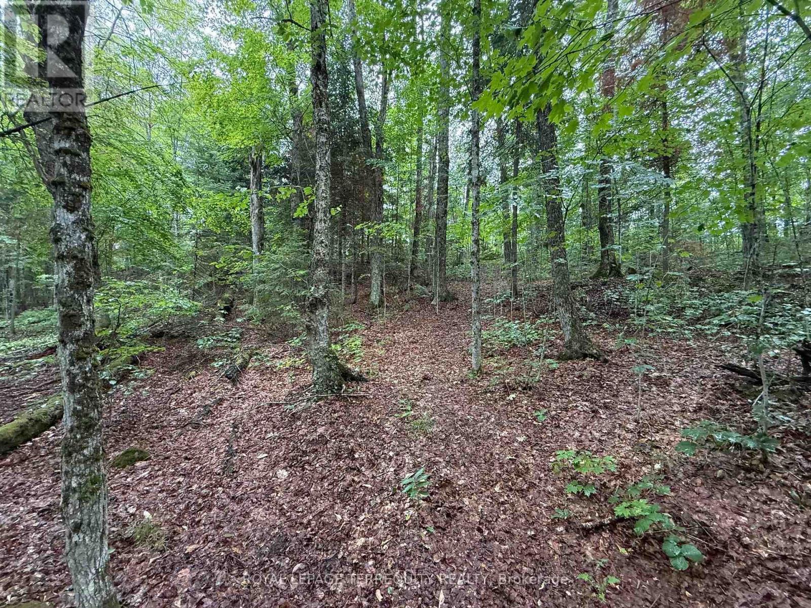 1097 SWIRLINGLEAVES LANE - 31
