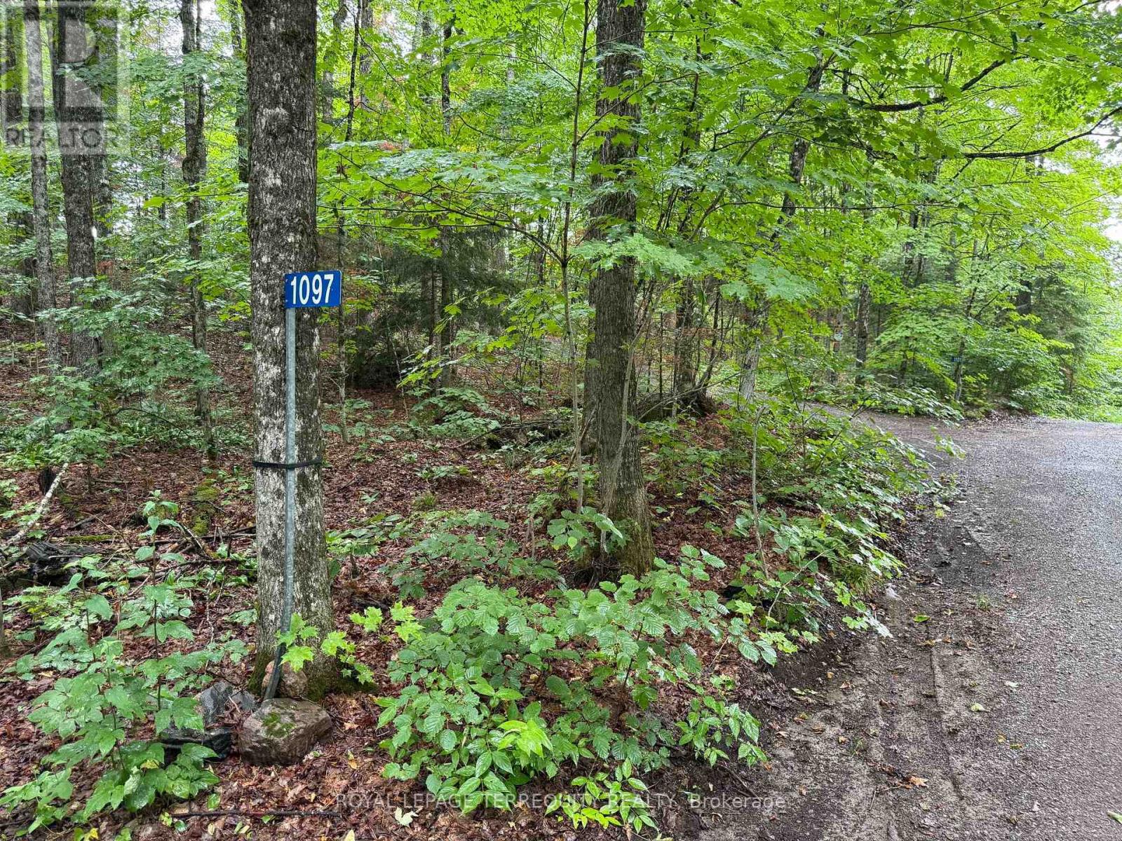 1097 SWIRLINGLEAVES LANE - 35