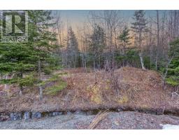 0 Merriwold Lane, Caribou Marsh, NS B1M1C9 Photo 14