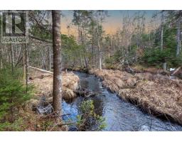 0 Merriwold Lane, Caribou Marsh, NS B1M1C9 Photo 11