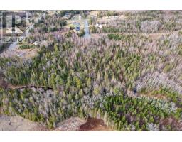 0 Merriwold Lane, Caribou Marsh, NS B1M1C9 Photo 7