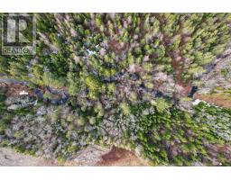 0 Merriwold Lane, Caribou Marsh, NS B1M1C9 Photo 9