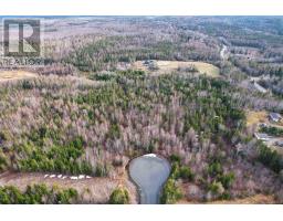 0 Merriwold Lane, Caribou Marsh, NS B1M1C9 Photo 6
