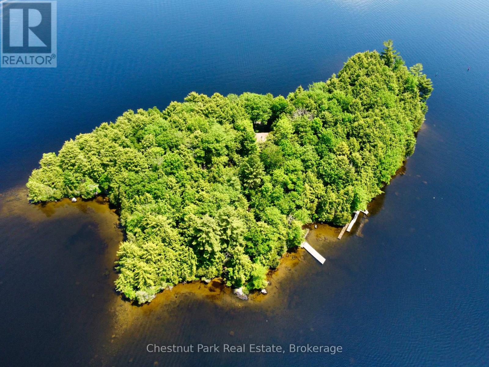 1 CEDAR ISLAND - 1