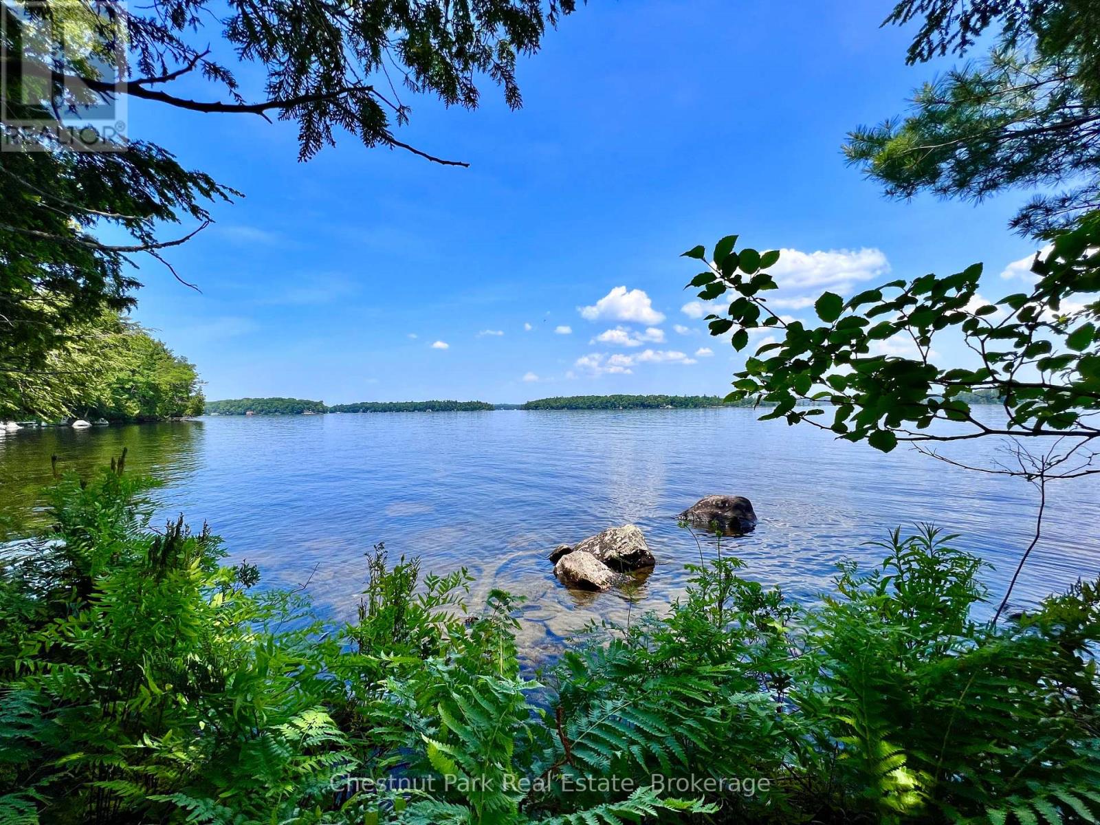 1 CEDAR ISLAND - Image 11