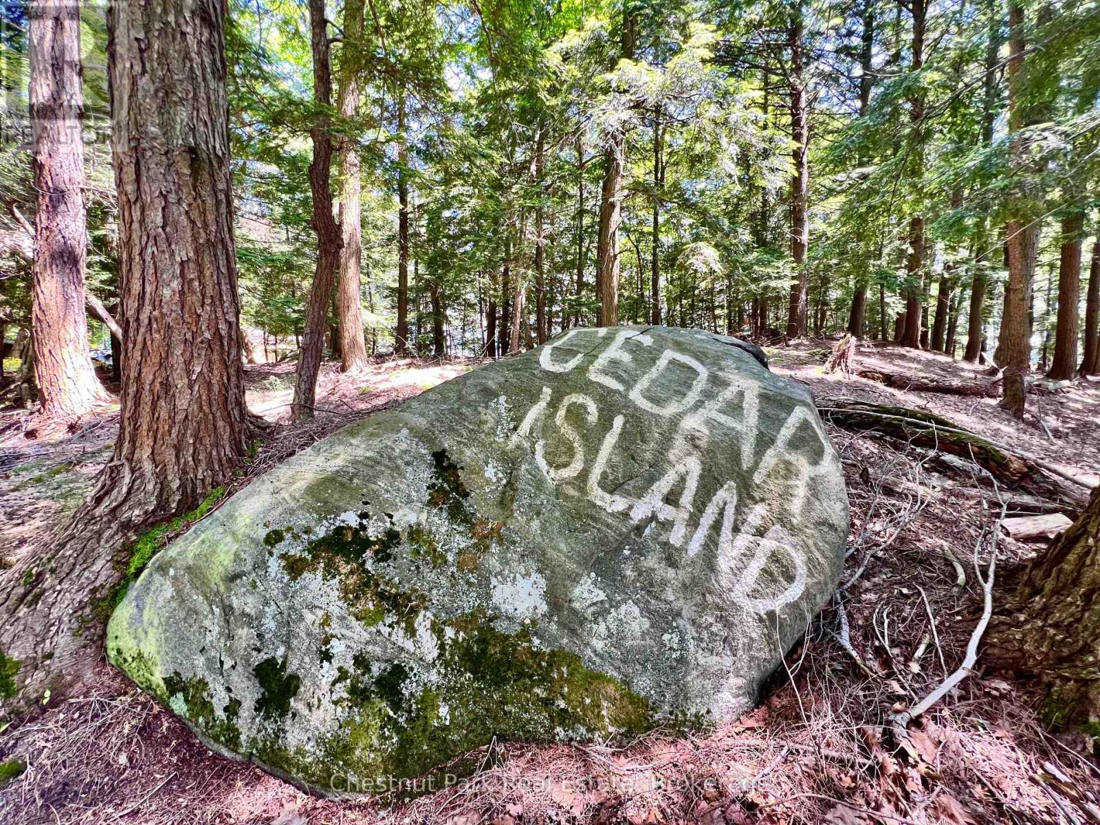 1 CEDAR ISLAND - 17