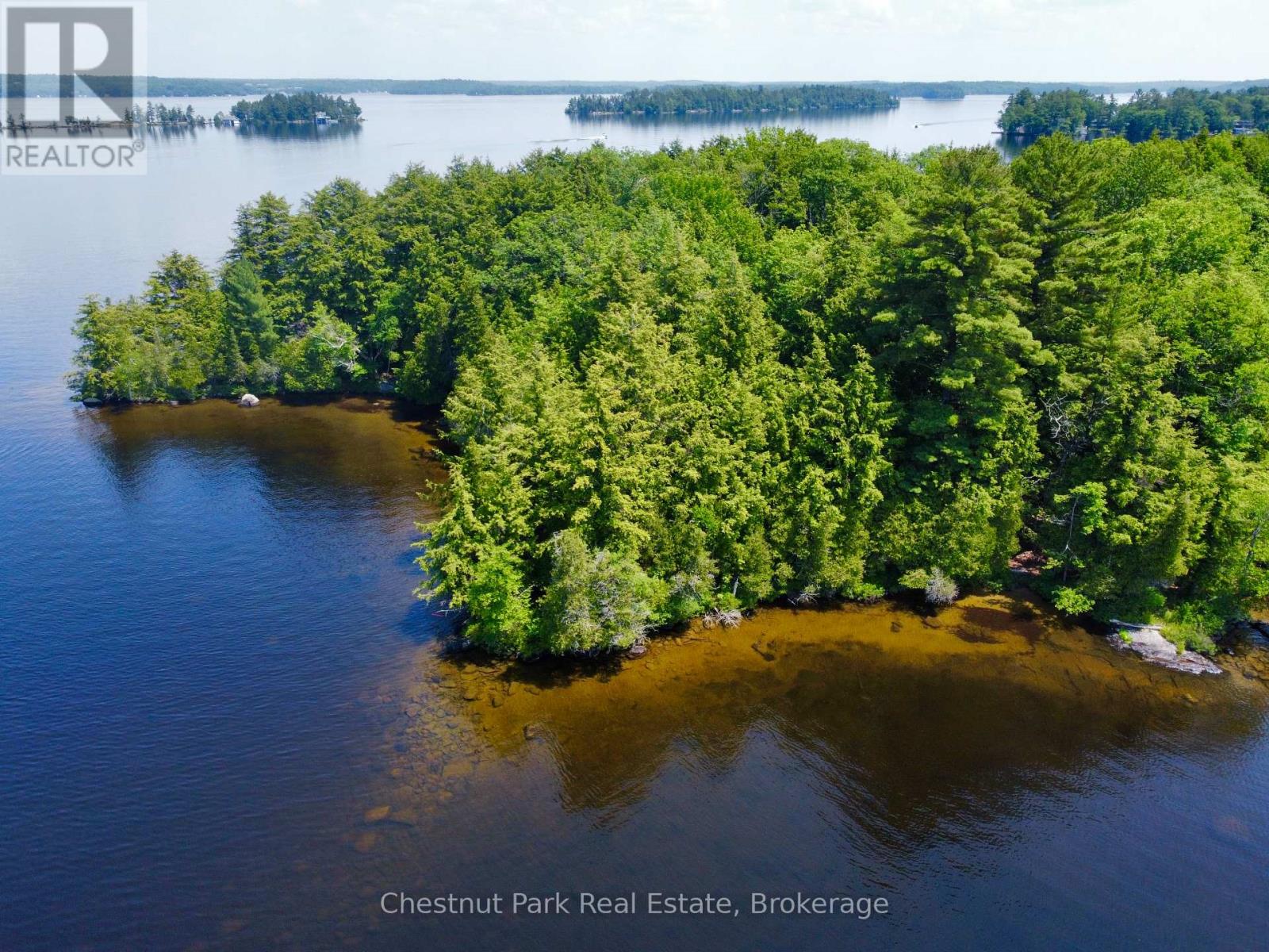 1 CEDAR ISLAND - 4