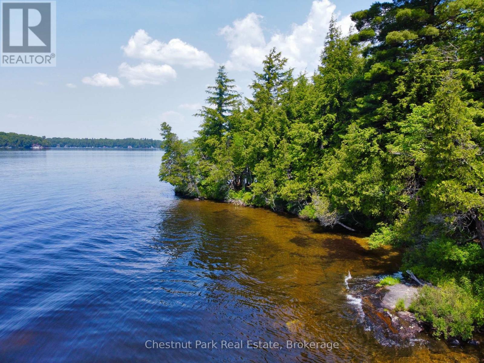 1 CEDAR ISLAND - 5