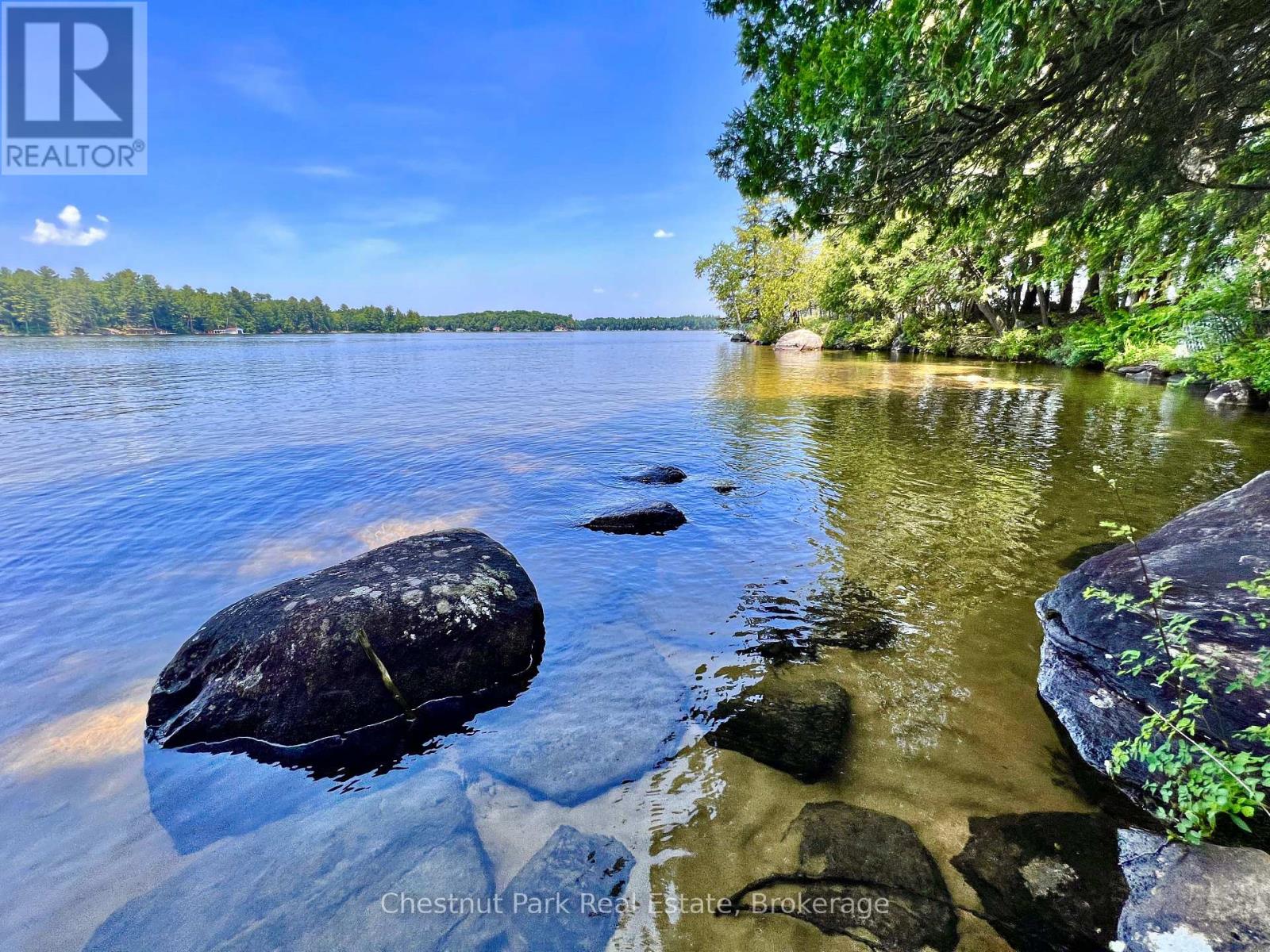 1 CEDAR ISLAND - Image 6