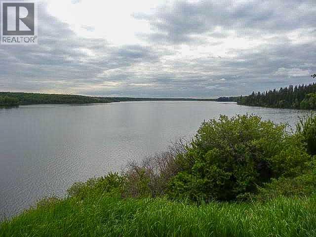 25054 South Pine Lake Road - Photo 24
