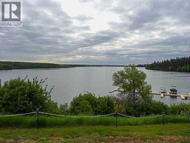 25054 South Pine Lake Road - Photo 23