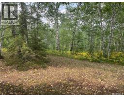 14 Andrews Way, Cowan Lake, SK S0J0E0 Photo 11