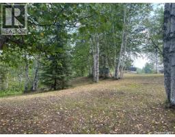 14 Andrews Way, Cowan Lake, SK S0J0E0 Photo 15