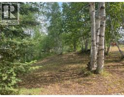 14 Andrews Way, Cowan Lake, SK S0J0E0 Photo 17