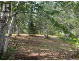 14 Andrews Way, Cowan Lake, SK S0J0E0 Photo 19