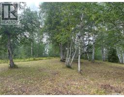 14 Andrews Way, Cowan Lake, SK S0J0E0 Photo 22