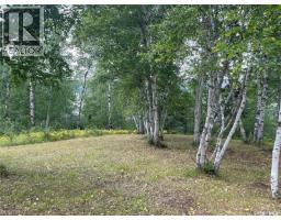 14 Andrews Way, Cowan Lake, SK S0J0E0 Photo 23