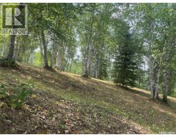14 Andrews Way, Cowan Lake, SK S0J0E0 Photo 6