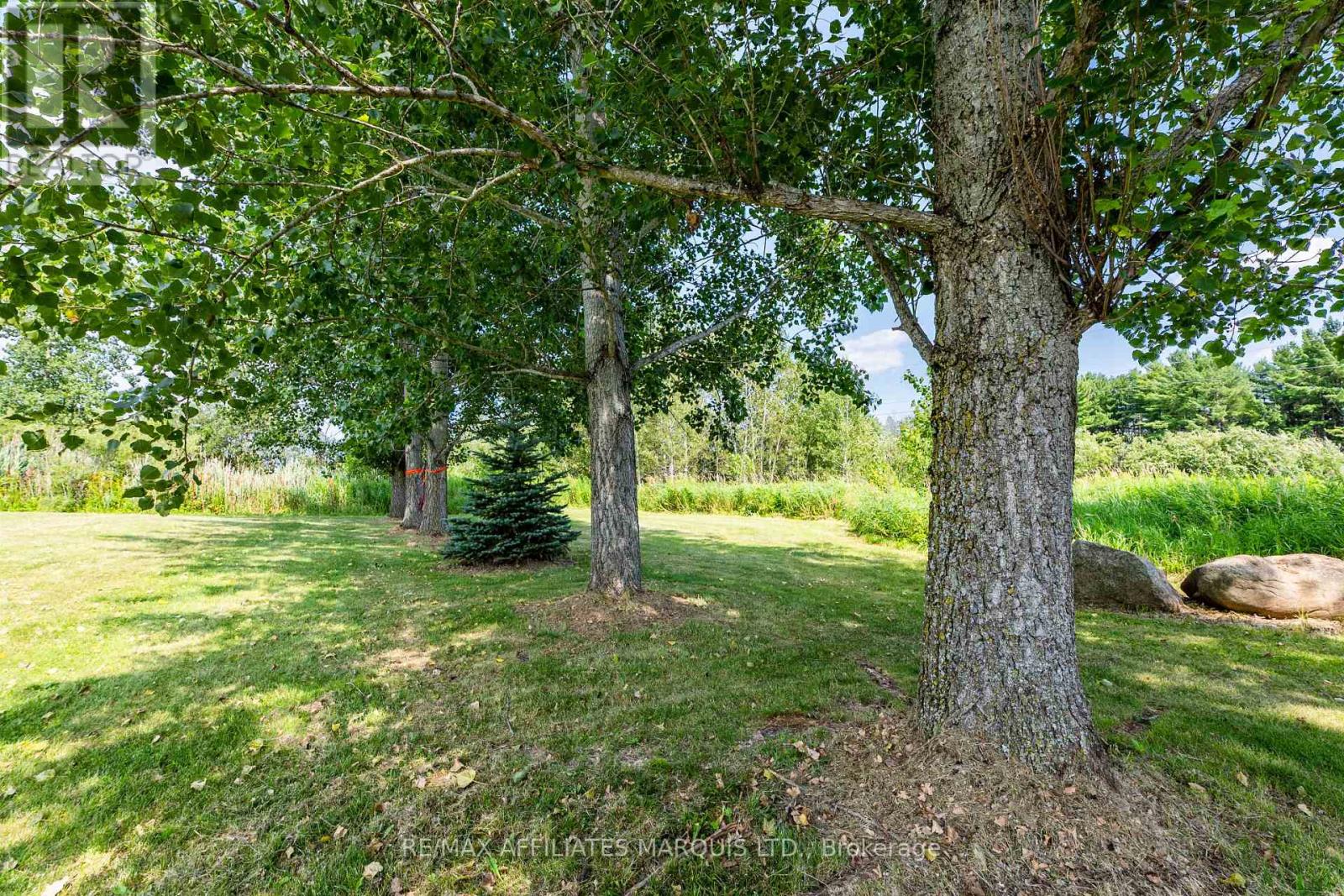 5419 AULTSVILLE ROAD - 46