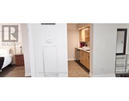 1435 - 250 Wellington Street W, Toronto, ON M5V3P6 Photo 29