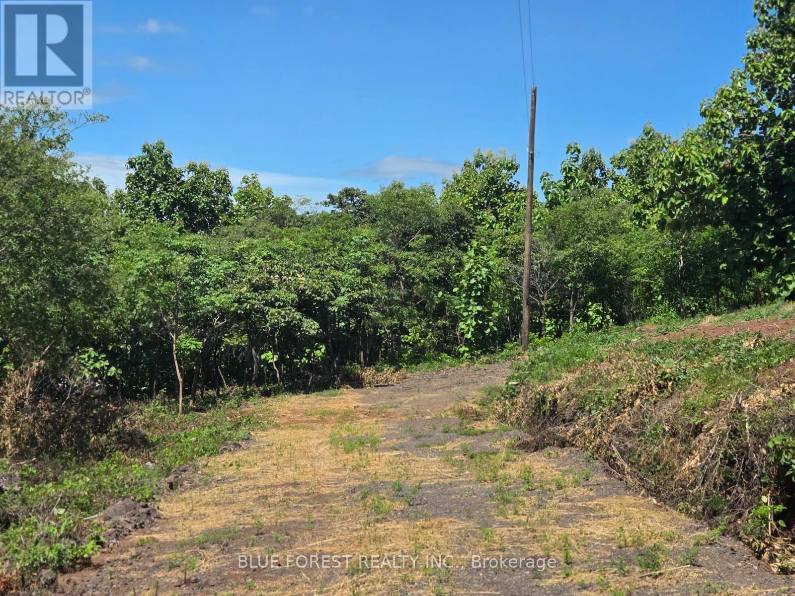 Lot 29 Belen, Costa Rica, Ontario, Costa Rica, Ontario — photo 5 of 5