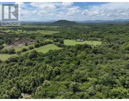 Lot 29 Belen, Costa Rica, ON  Photo 11