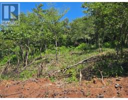Lot 29 Belen, Costa Rica, ON  Photo 12