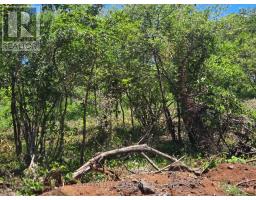 Lot 29 Belen, Costa Rica, ON  Photo 7