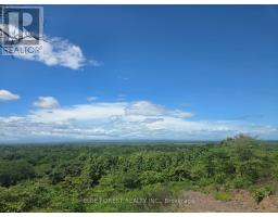 Lot 29 Belen, Costa Rica, ON  Photo 8