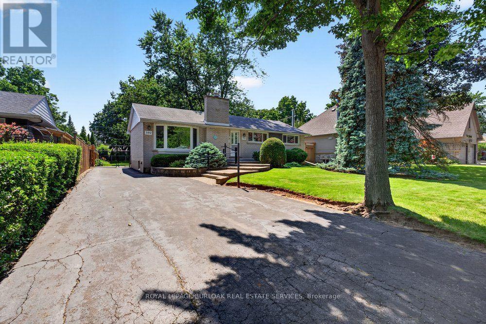 392 HENDERSON ROAD - 2