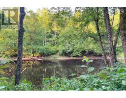 Part Lot 28 Concession 12 Black River Road, Kawartha Lakes, ON L0K1W0 Photo 10