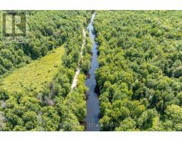 Part Lot 28 Concession 12 Black River Road, Kawartha Lakes, ON L0K1W0 Photo 8