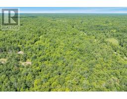 Part Lot 28 Concession 12 Black River Road, Kawartha Lakes, ON L0K1W0 Photo 7