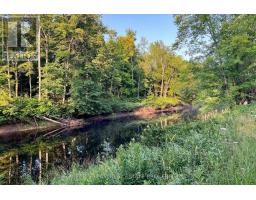 Part Lot 28 Concession 12 Black River Road, Kawartha Lakes, ON L0K1W0 Photo 15