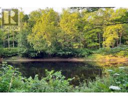 Part Lot 28 Concession 12 Black River Road, Kawartha Lakes, ON L0K1W0 Photo 11