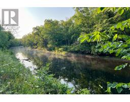 Part Lot 28 Concession 12 Black River Road, Kawartha Lakes, ON L0K1W0 Photo 17