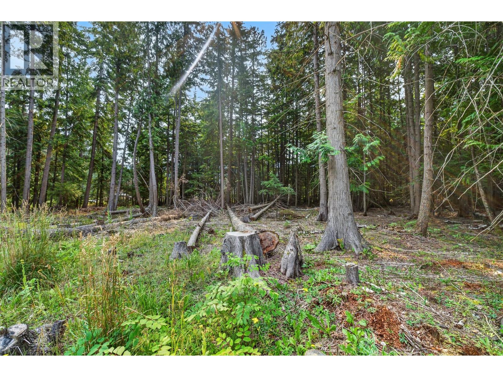 671 Old Town Road - 57