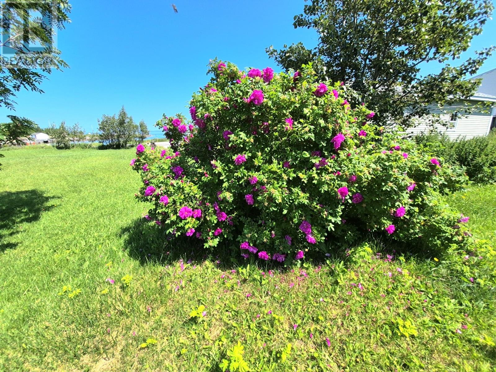 6 Harbour Side Road - 32