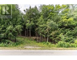 1149 Golden Beach Road, Bracebridge), ON P1L1W8 Photo 13