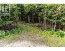 1149 Golden Beach Road, Bracebridge), ON P1L1W8 Photo 14
