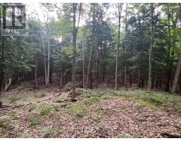 1149 Golden Beach Road, Bracebridge), ON P1L1W8 Photo 8