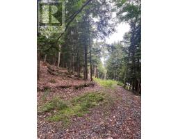 1149 Golden Beach Road, Bracebridge), ON P1L1W8 Photo 9