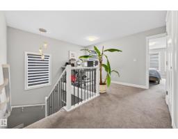 3306 Hilton Cr Nw, Edmonton, AB T6M0N4 Photo 19