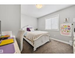 3306 Hilton Cr Nw, Edmonton, AB T6M0N4 Photo 29
