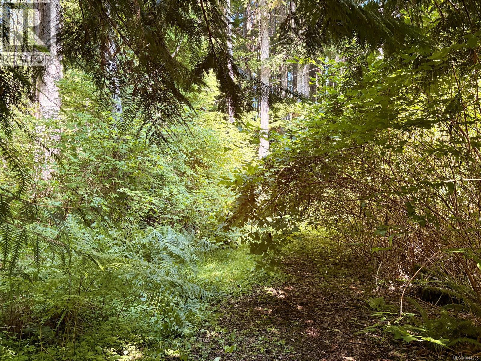 245 Quatsino Rd - 48