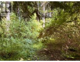 245 Quatsino Rd, Quatsino, BC V0N2V0 Photo 48