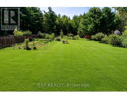 8245 Main Street, Adjala Tosorontio, ON L0M1M0 Photo 32