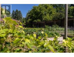 8245 Main Street, Adjala Tosorontio, ON L0M1M0 Photo 35