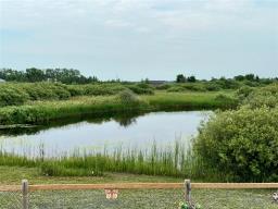 27123 Park Rd 70n Road, Springfield Rm, MB R5M0C4 Photo 45