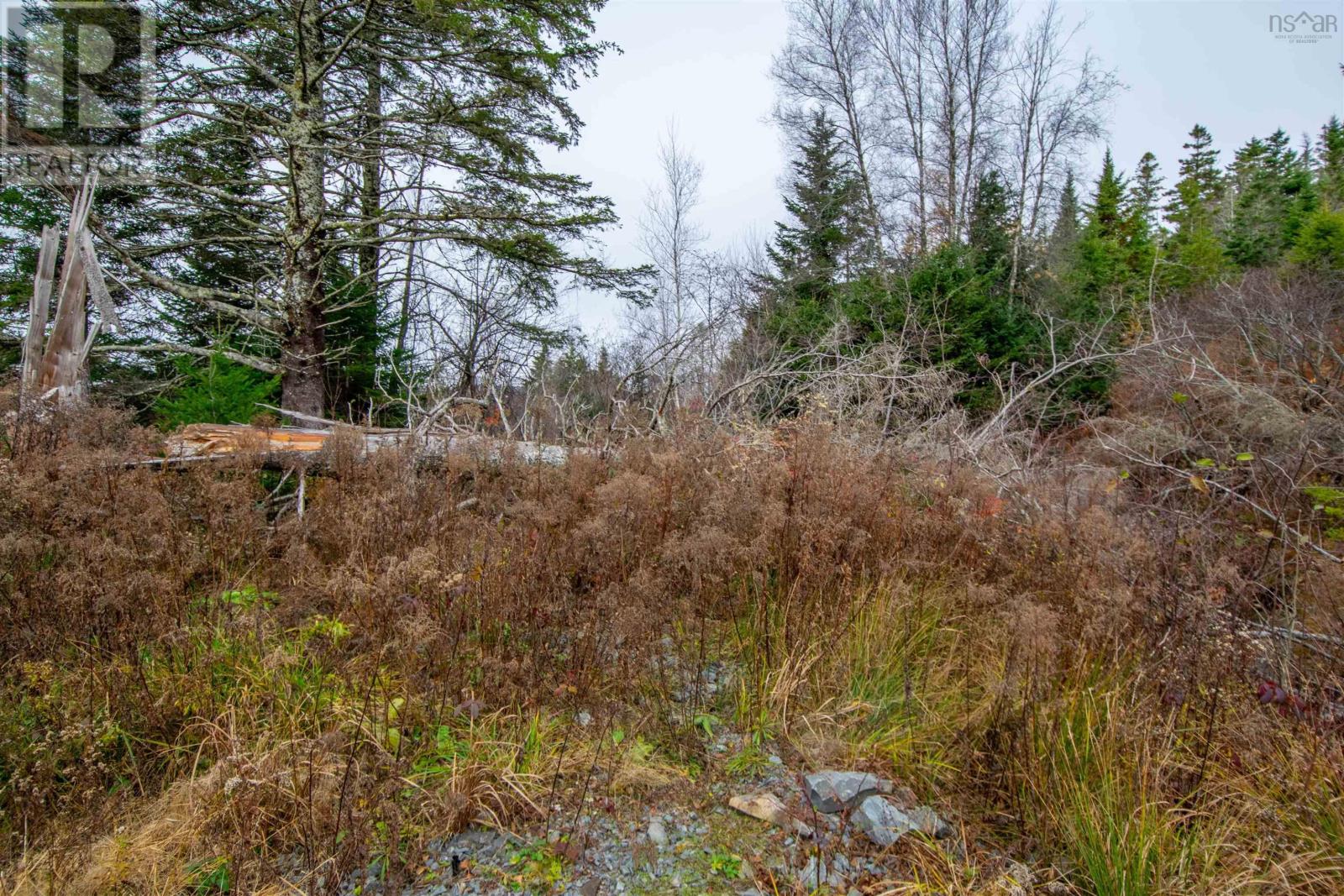 Property 37 of 42 of Lot Danyella's Lane